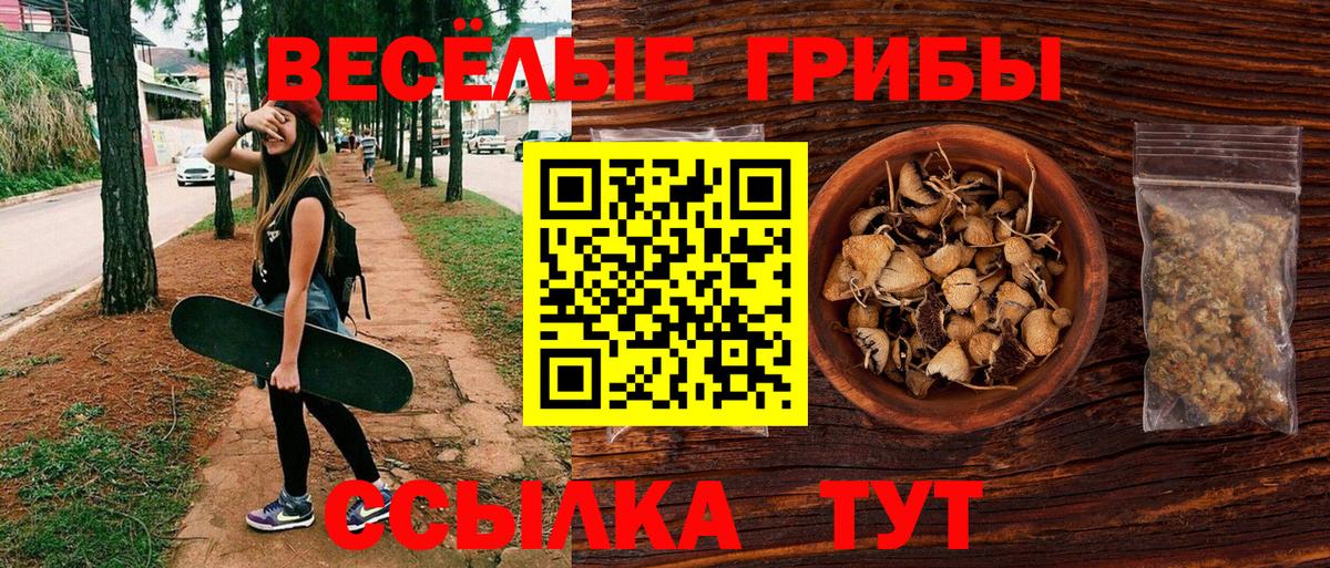 Гай  Псилоцибиновые грибы MAGIC MUSHROOMS  Вход с VPN 