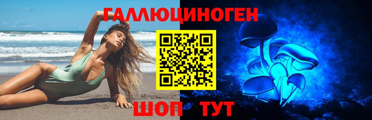 Псилоцибиновые грибы MAGIC MUSHROOMS Гай